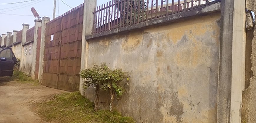 Espace à louer
